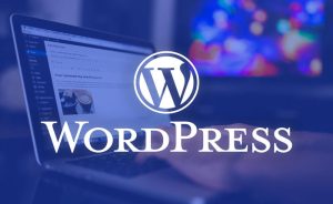 Khách hàng hài lòng sau khi làm web WordPress giá rẻ tại Tâm Dev Web