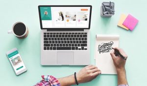 Show năng lực qua dự án